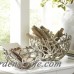 Birch Lane™ Kempler Coral Decorative Bowls BL6524